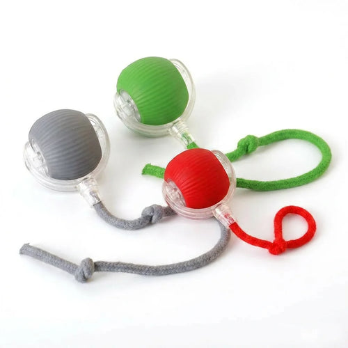 Spinning Ball with Wagging Tail