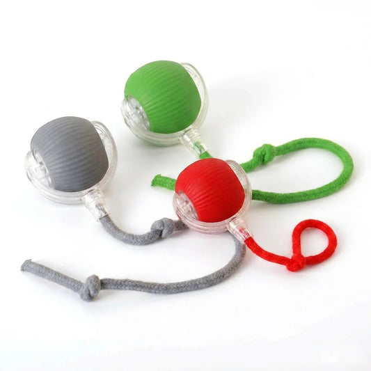 Spinning Ball with Wagging Tail