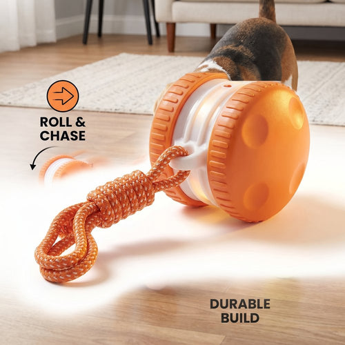 Interactive Electronic Dog Tug Ball Toy with Motion Sensor for Bonding and Training